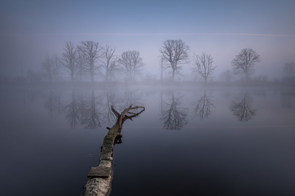 Photograph by Marcin Orszulak