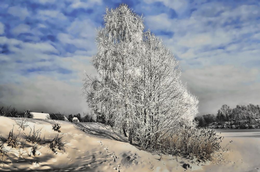 Фотография автора Алексей Ганчук