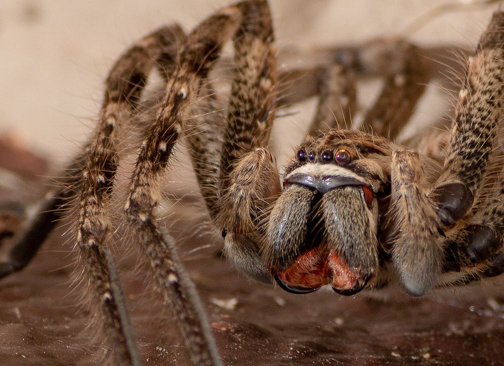 Photograph by Ken Stavrou