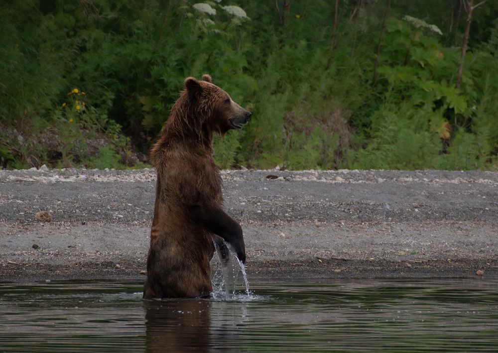 Фотография автора Мария Рохмистрова