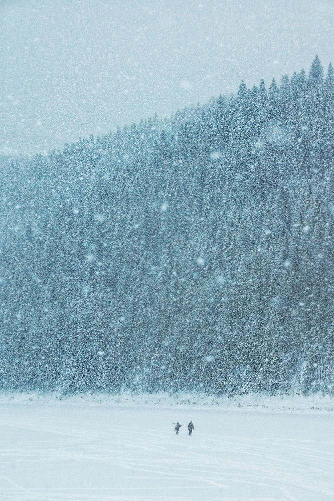 Photograph by Наталья Фрейман