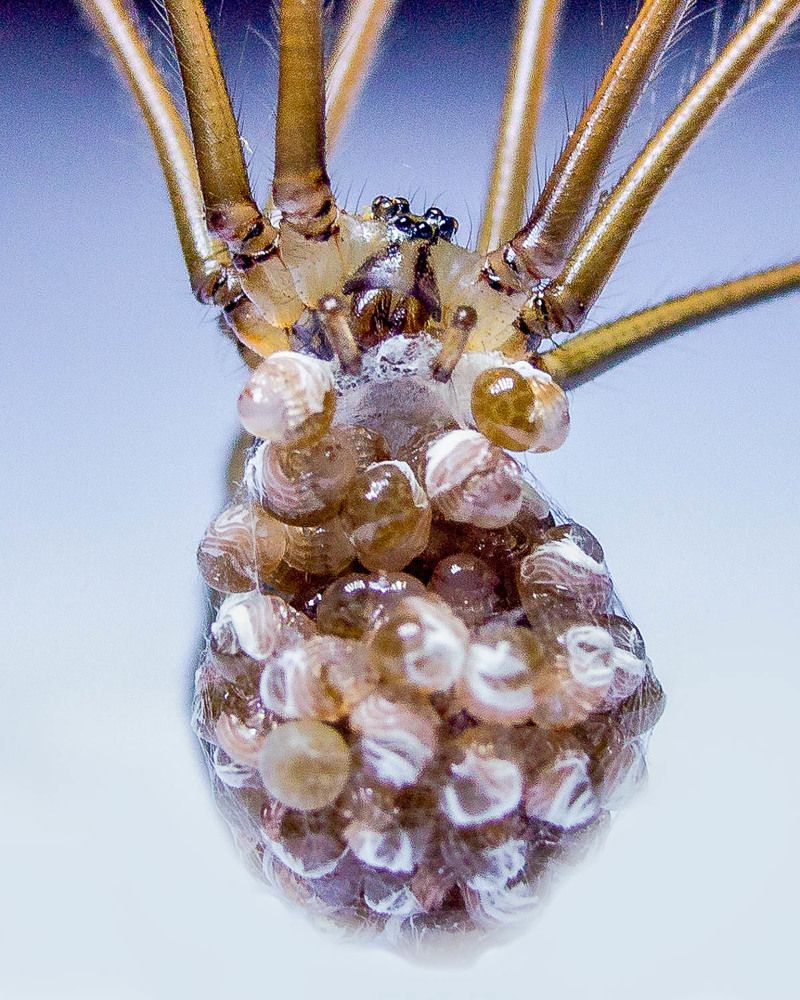 Photograph by Ken Stavrou