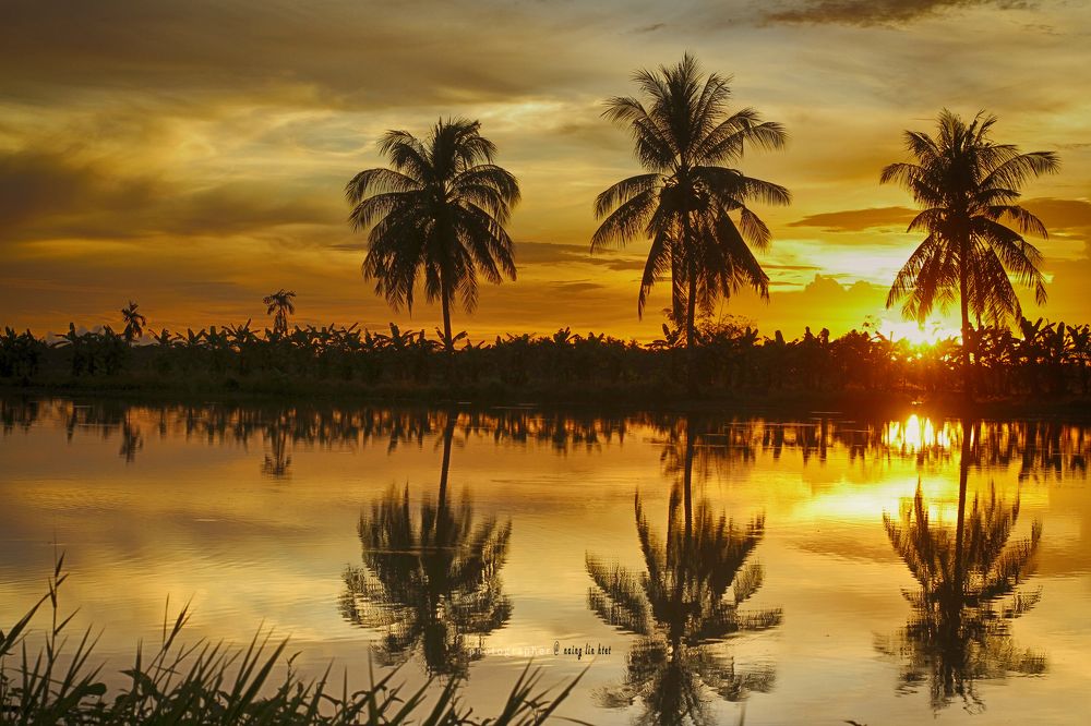 Photograph by WAI LIN