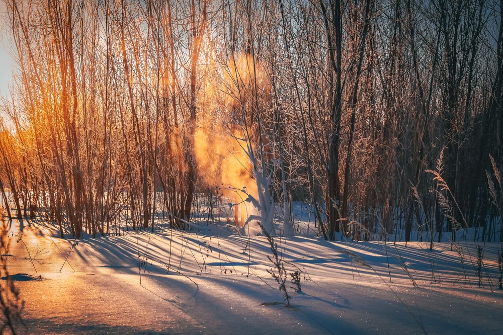 Крыло белого лебедя. The wing of the white swan