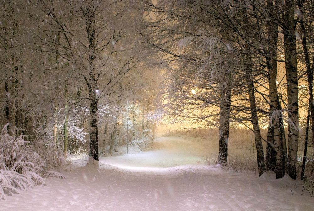 Photograph by Epp Tappel