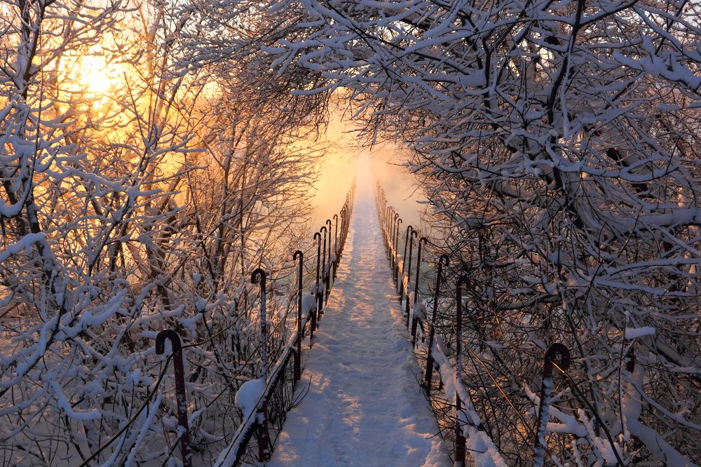 Photograph by Кухта Мария