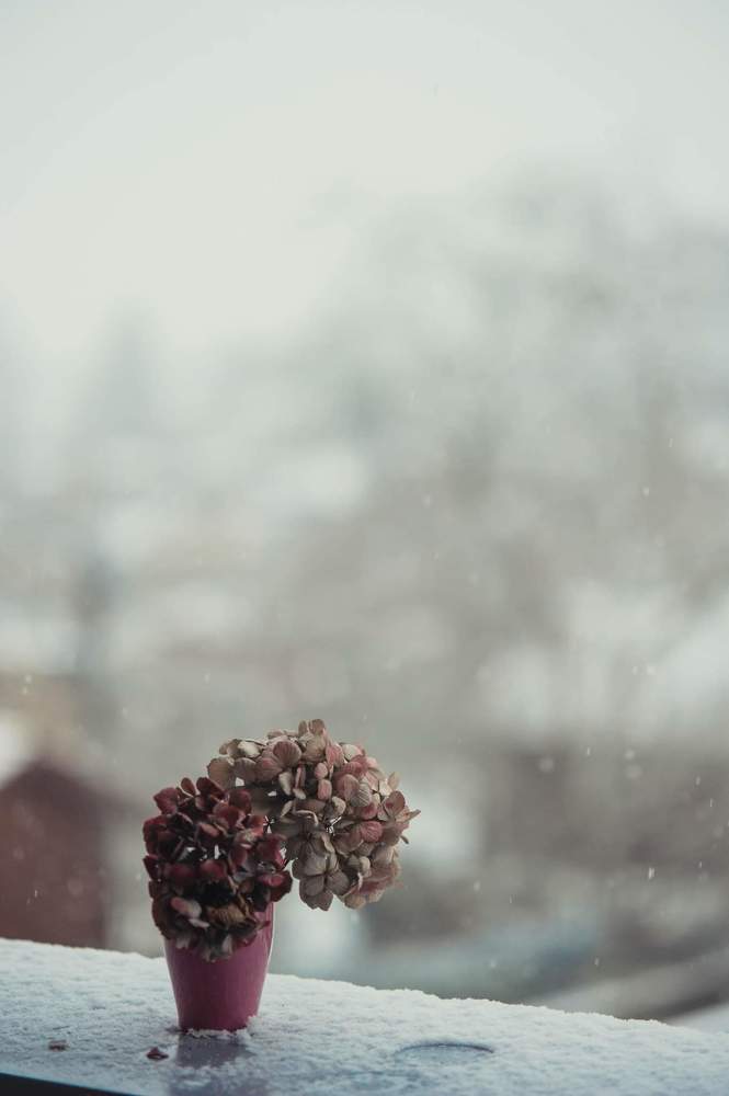 Photograph by ana correia