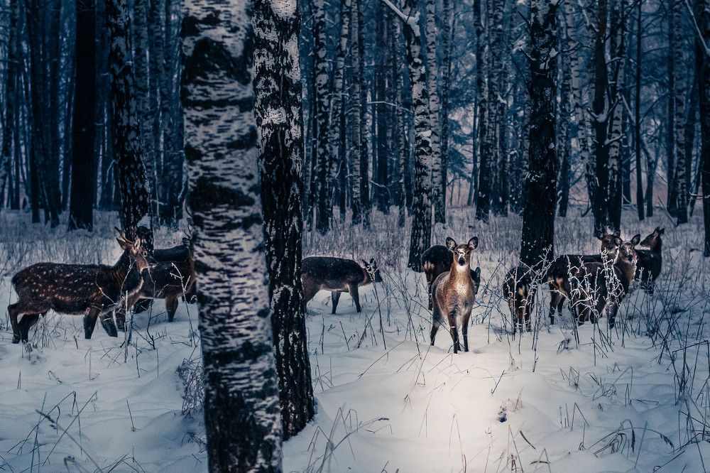 Photograph by Мария Дубова