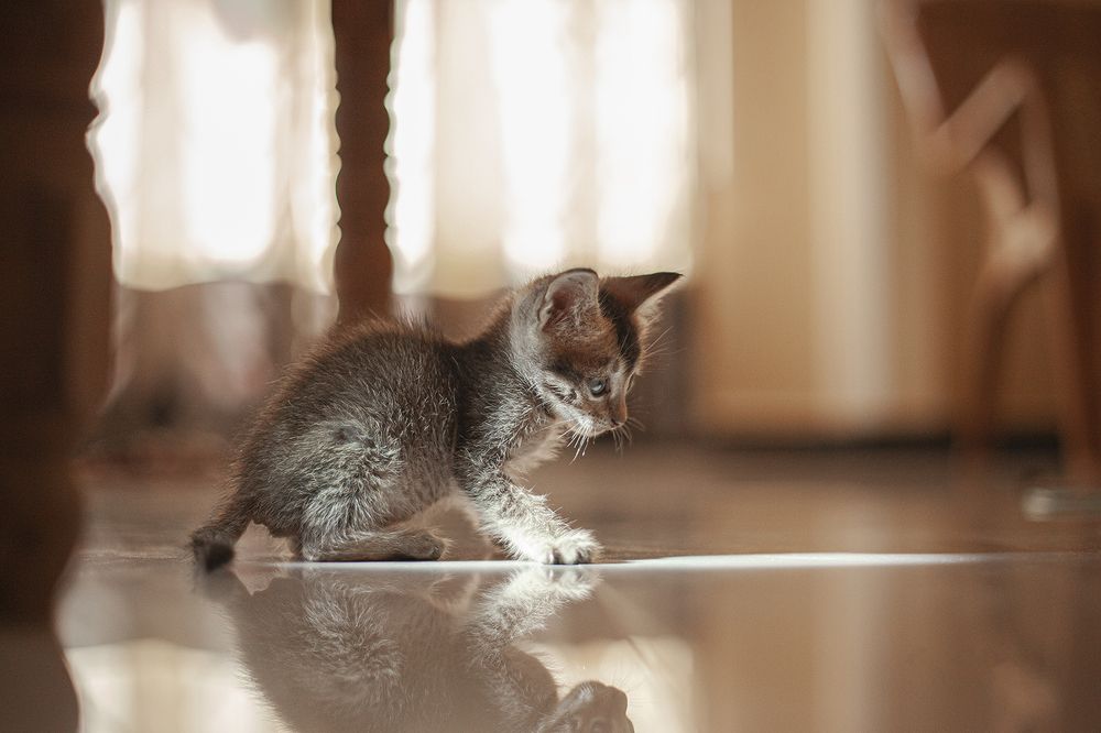 Photograph by Ashen Eranda