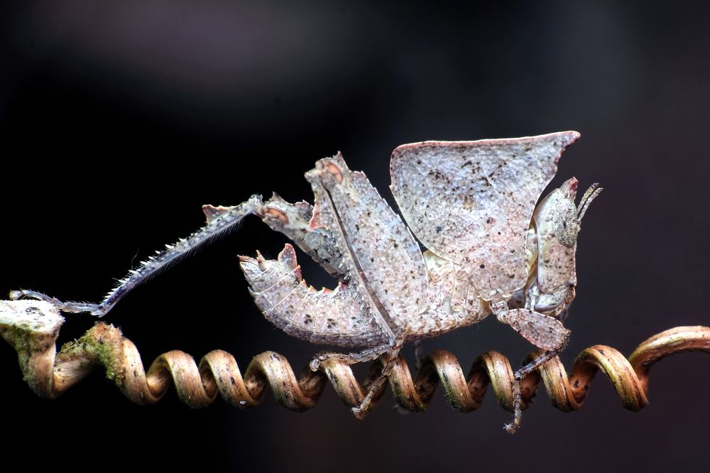 Photograph by KAIYEN LEE