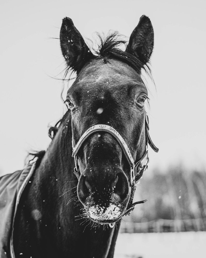 Photograph by Мария Дубова