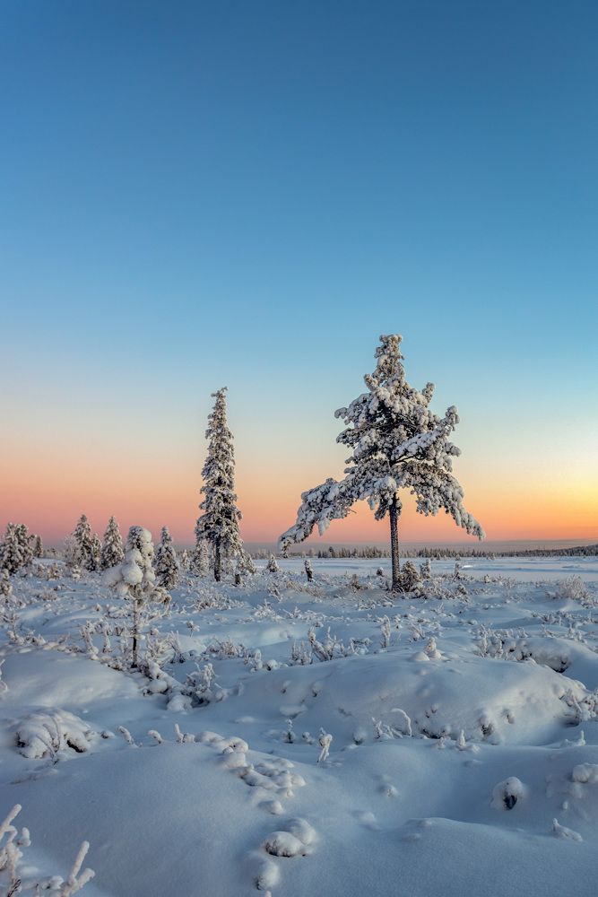 Photograph by Олег Сторожев