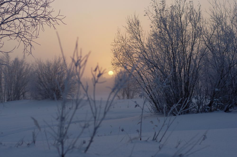 Photograph by Анна Глаговская