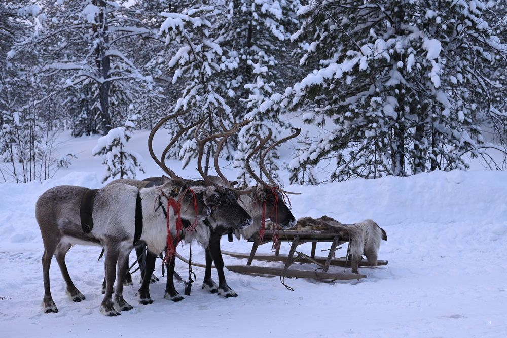 Photograph by Анна Глаговская