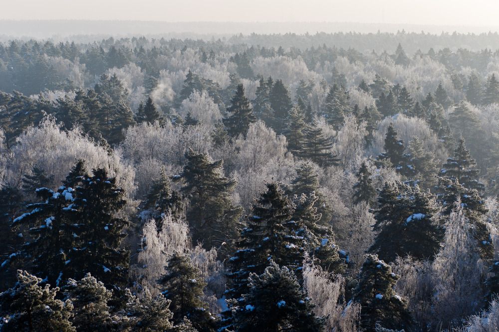 Photograph by Полина Зенькович