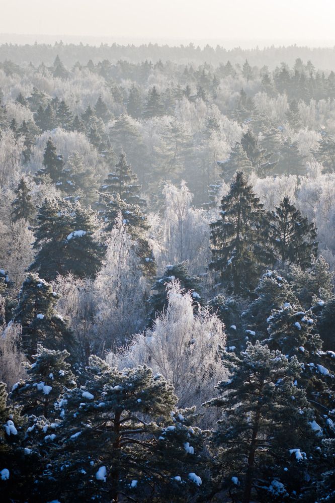 Photograph by Полина Зенькович