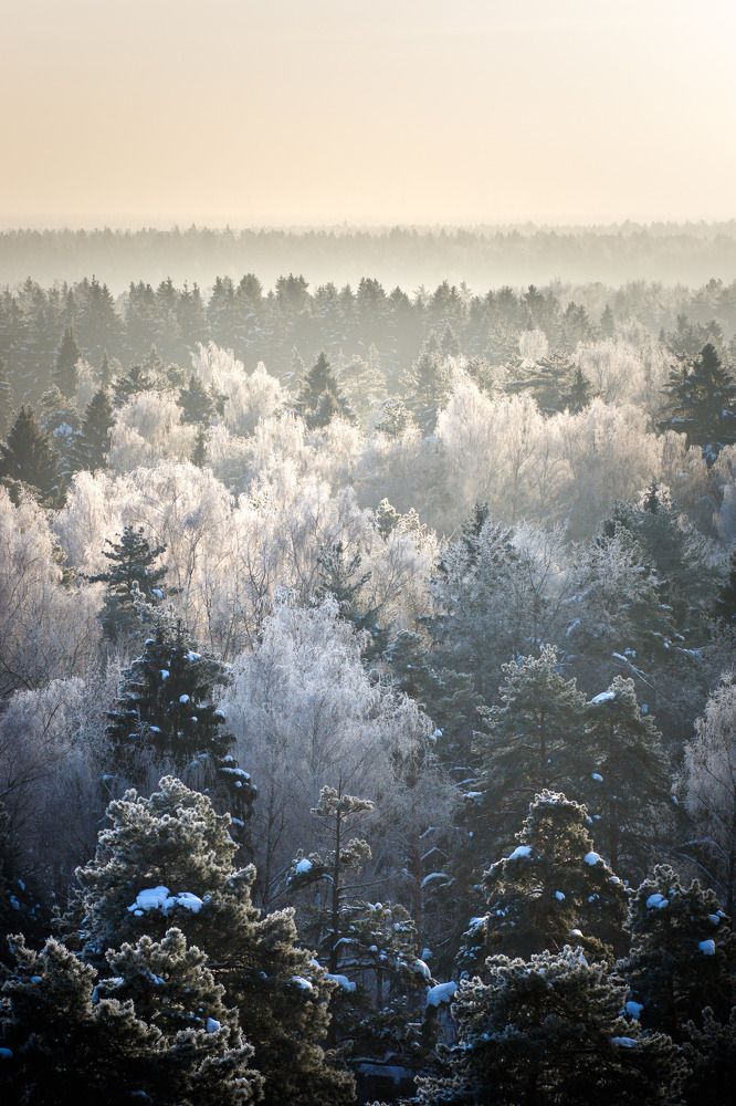 Photograph by Полина Зенькович