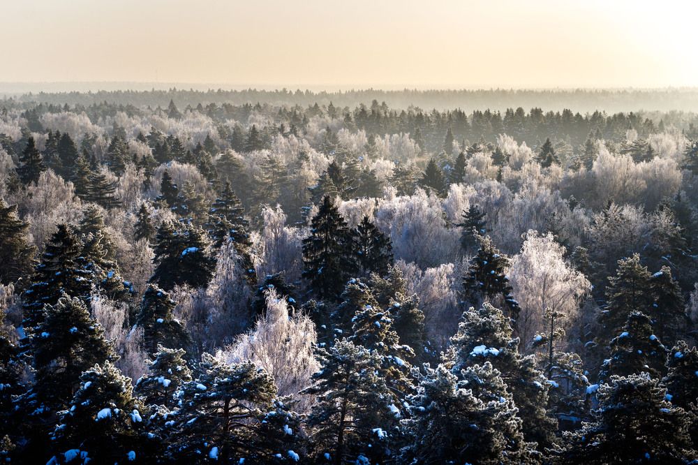 Photograph by Полина Зенькович