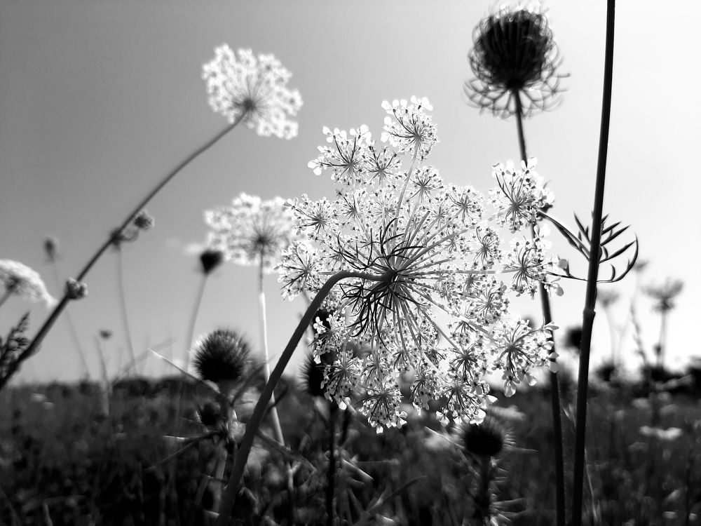 Photo #6963801