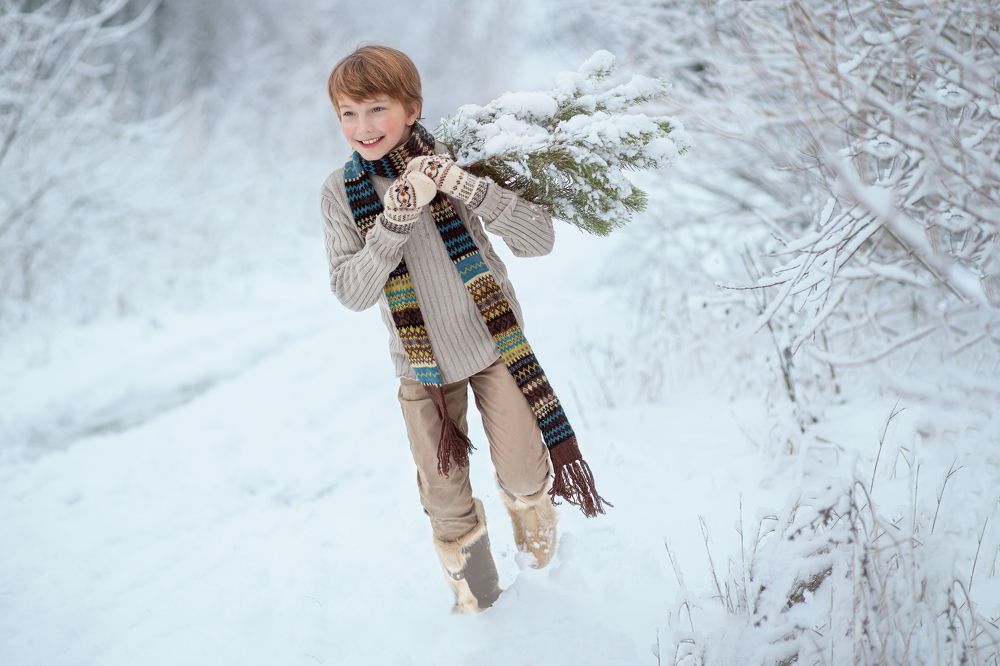 Из лесу вышел