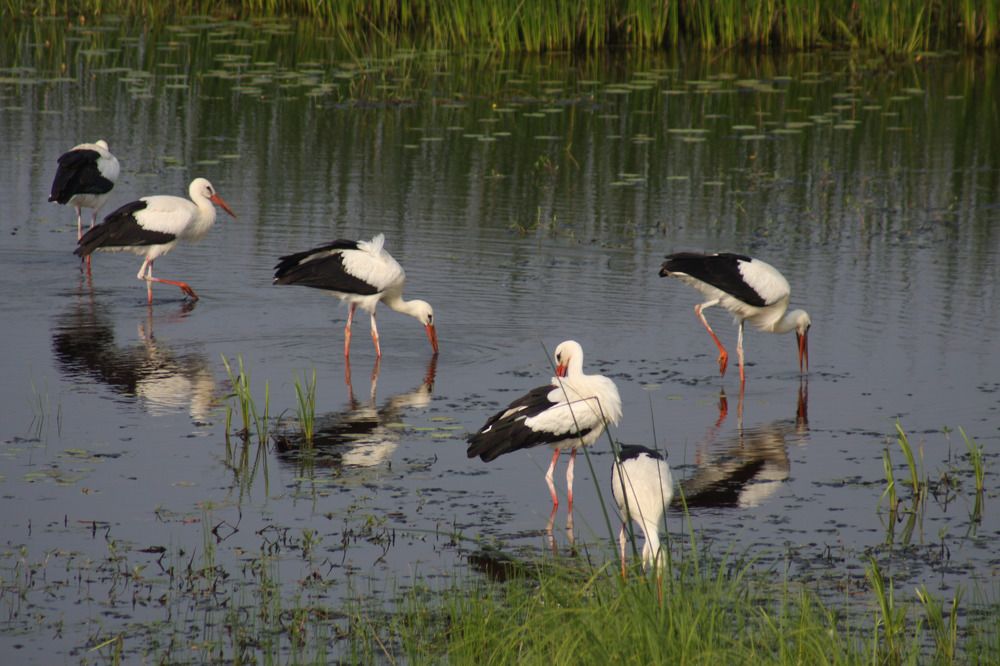 Photograph by Сергей Ножнин