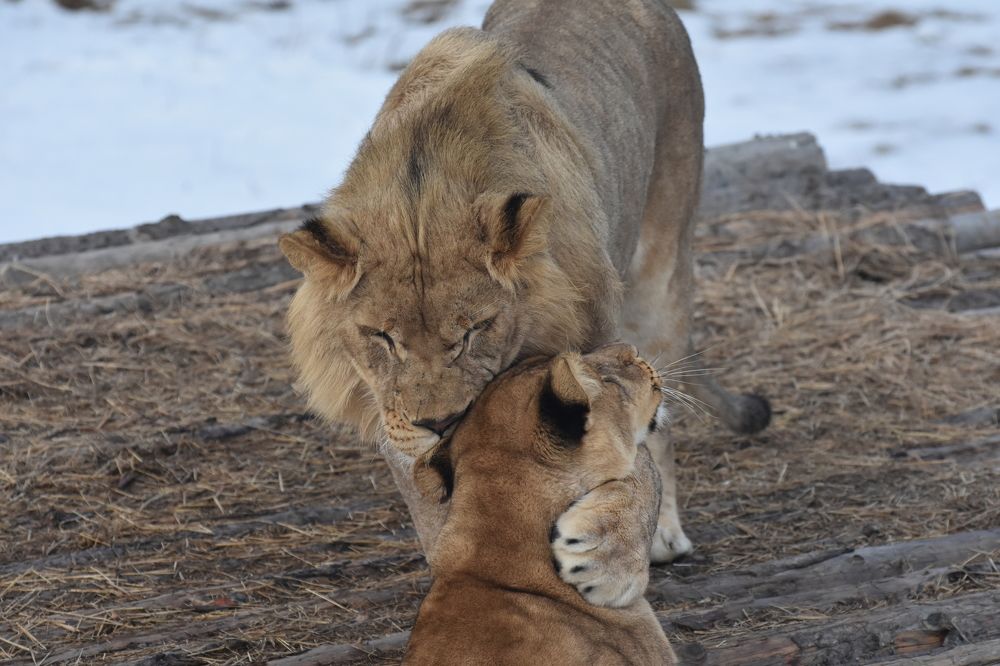 Photograph by Валентина Куцерук