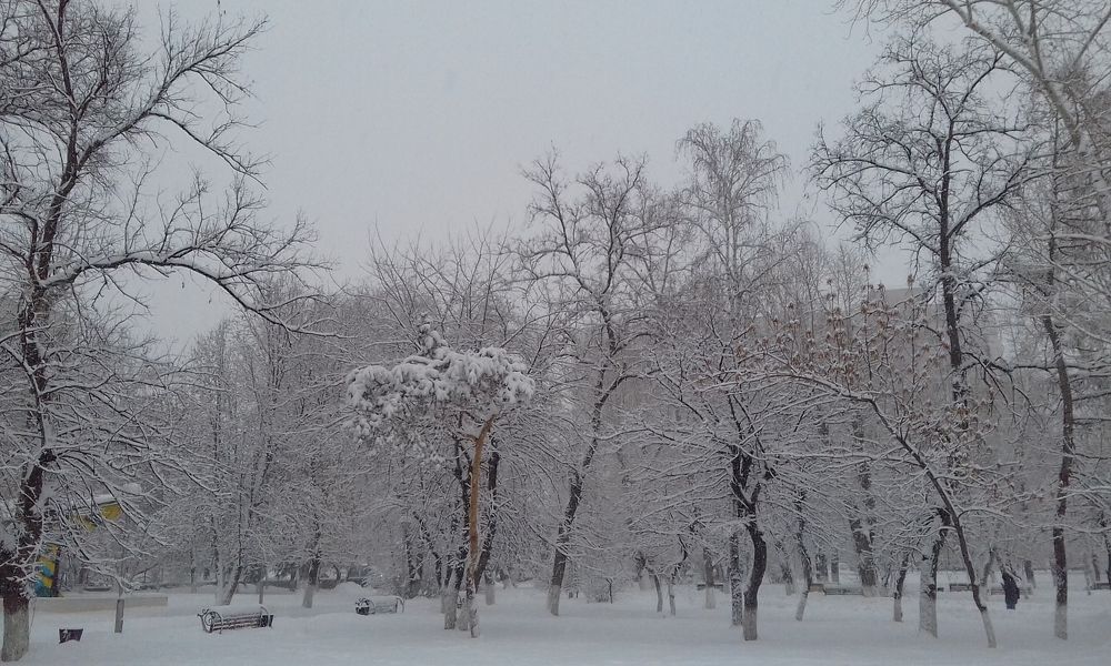 Photograph by Артур Устиловский