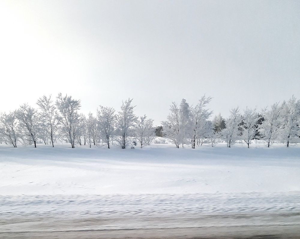 Фотография автора Olga Kunakova