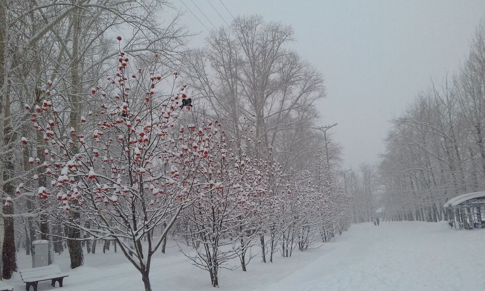 Photograph by Артур Устиловский