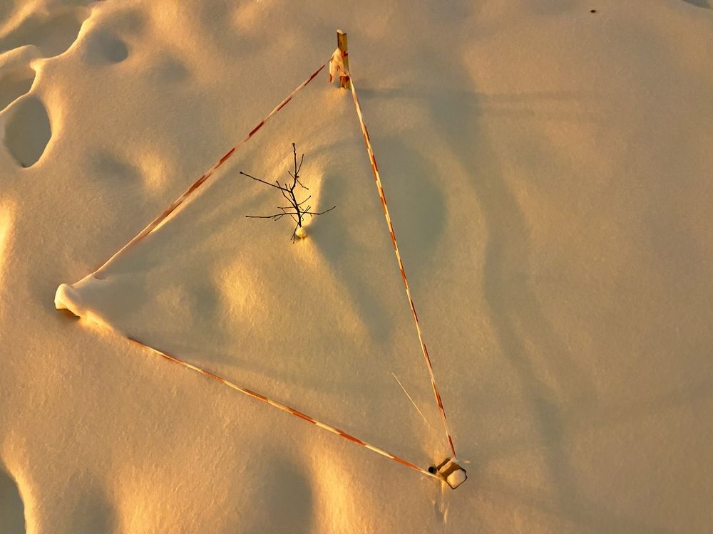 Photograph by Олег Кипкаев