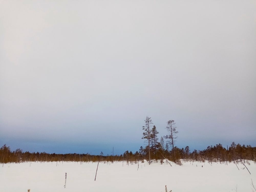 Photo #6963937
