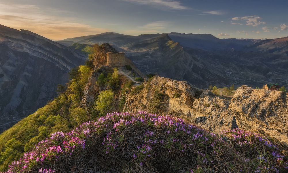 Пробуждение