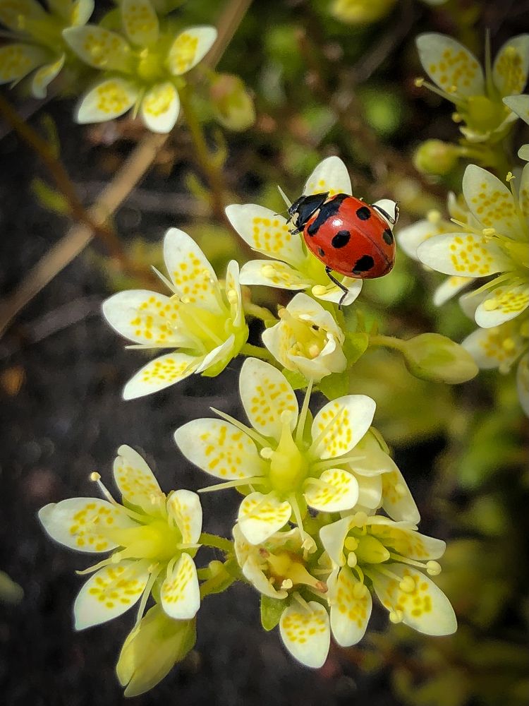 Photograph by Бравичева Анастасия