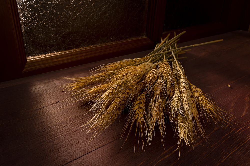 Photograph by Сергей