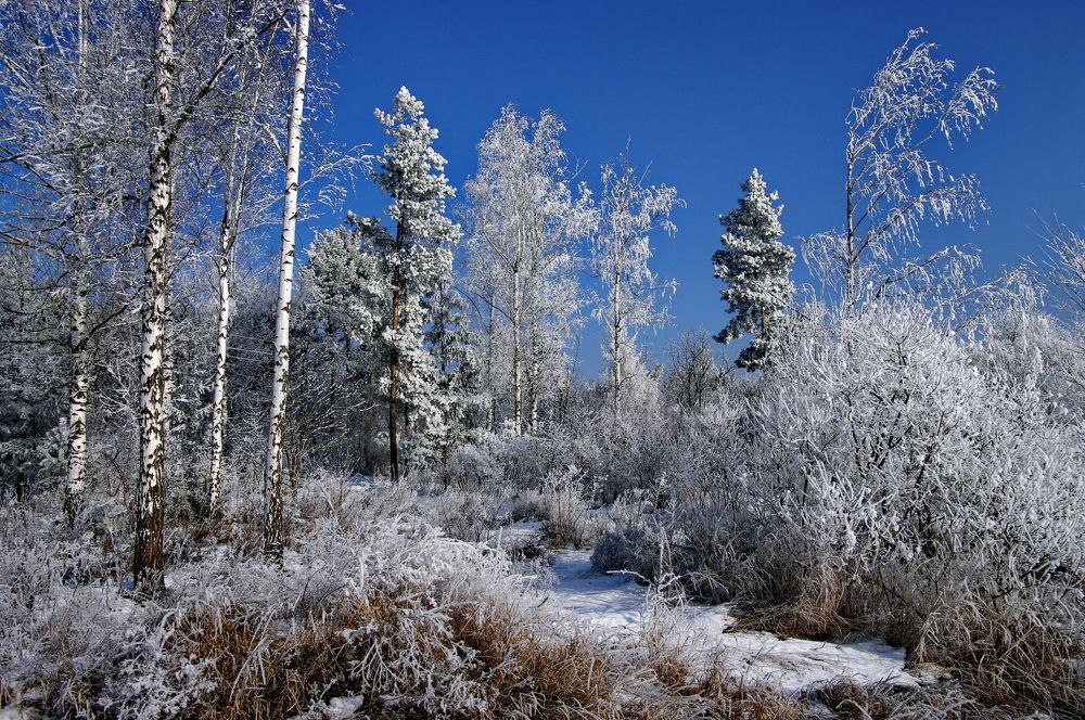 Photograph by Анатолий Святой