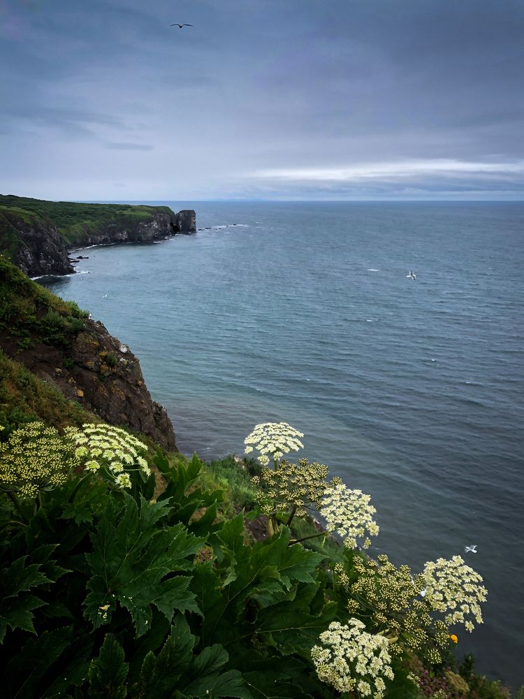 Photograph by Бравичева Анастасия