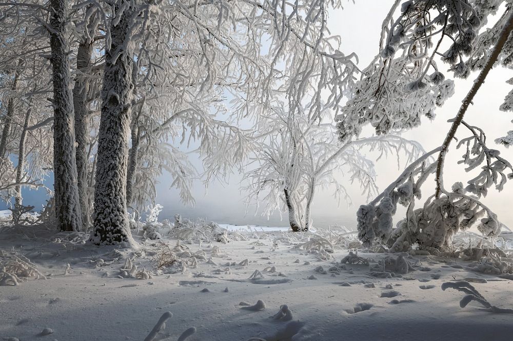 Photograph by Марина Фомина