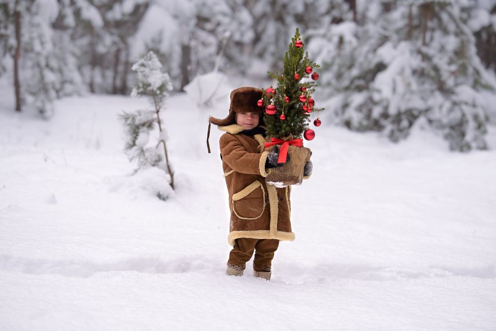 Фотография автора Алена Наливкина