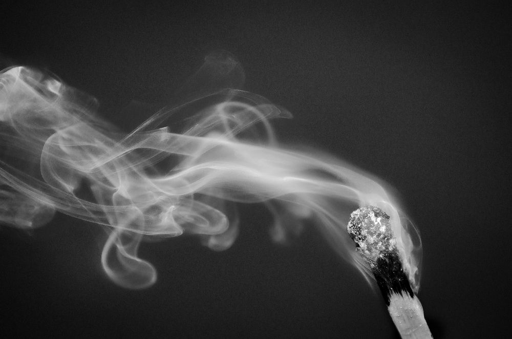 Photograph by Sahar Jafari