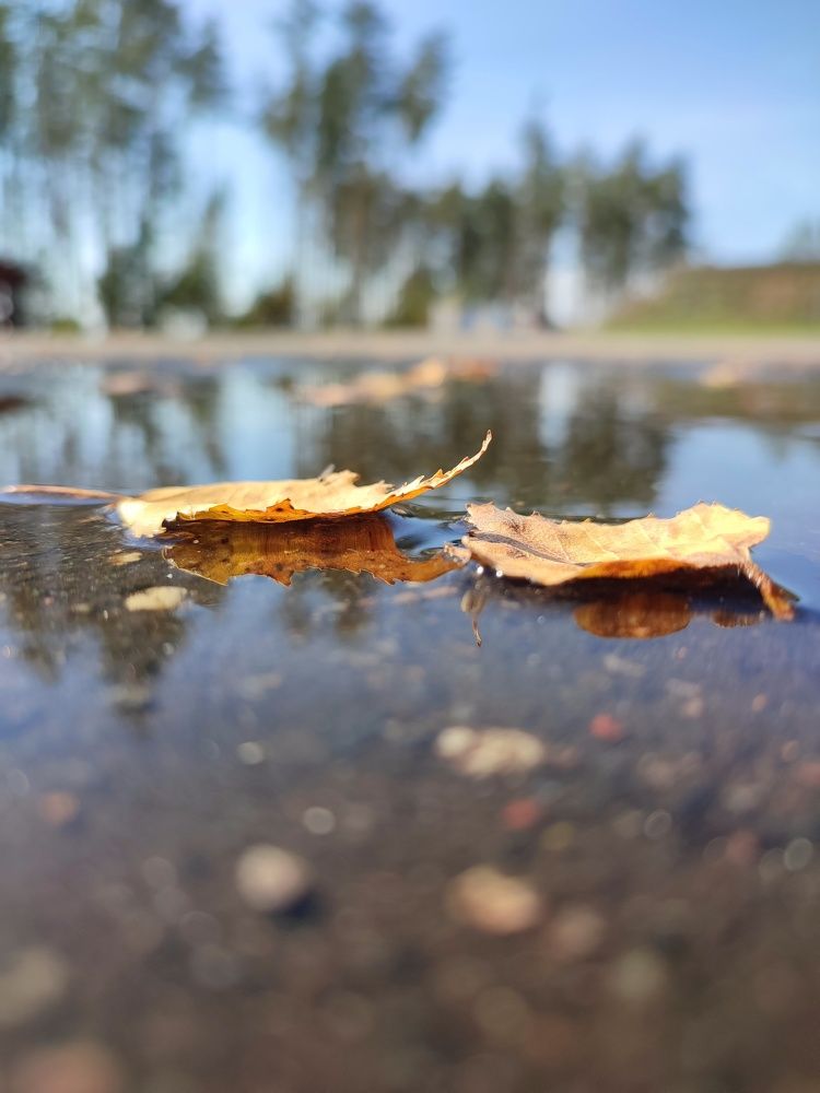 Photograph by Ольга Сучкова