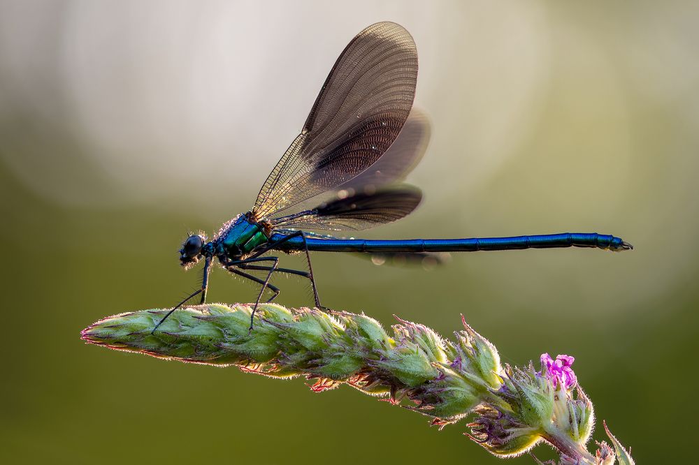 Photograph by Кузнецов Дмитрий