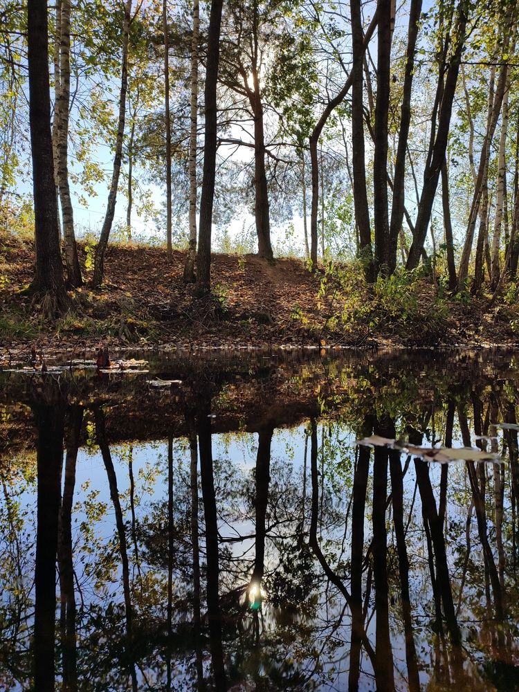 Photograph by Ольга Сучкова