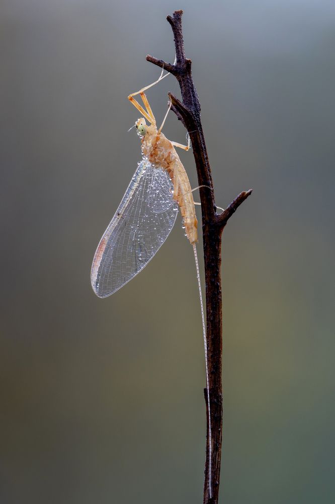 Photograph by Кузнецов Дмитрий