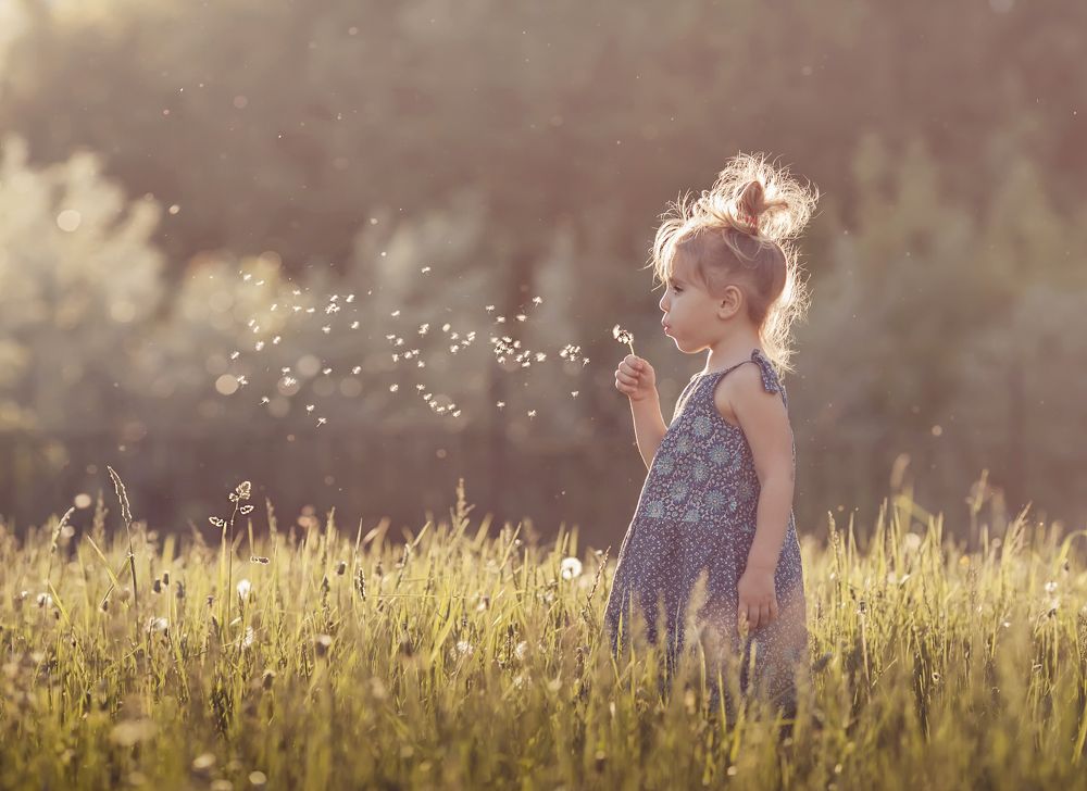 Фотография автора Анна Набатова