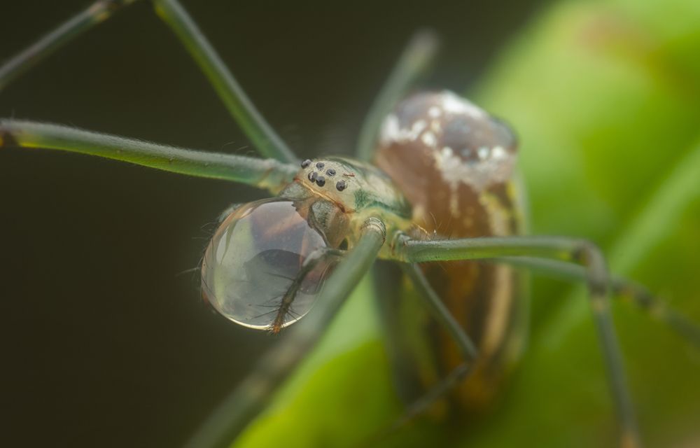 Photograph by SWEE MING YOUNG