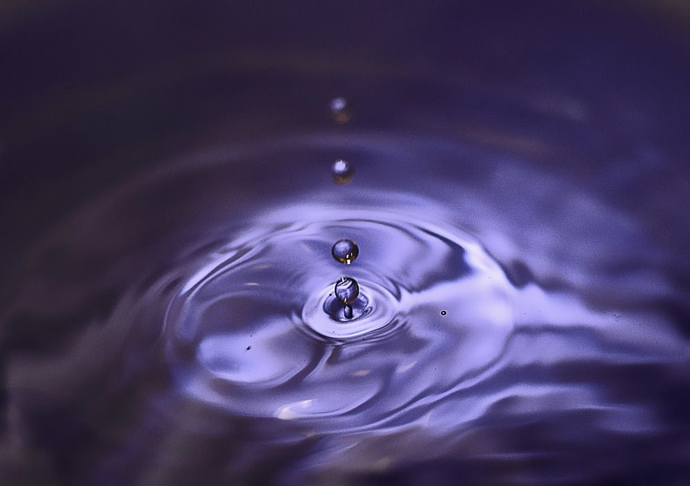 Фотография автора Елена Савельева