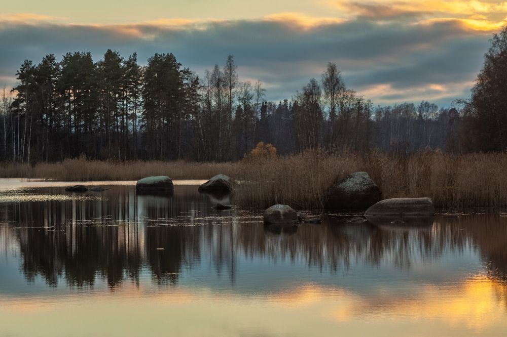 Photograph by Холодняк Светлана