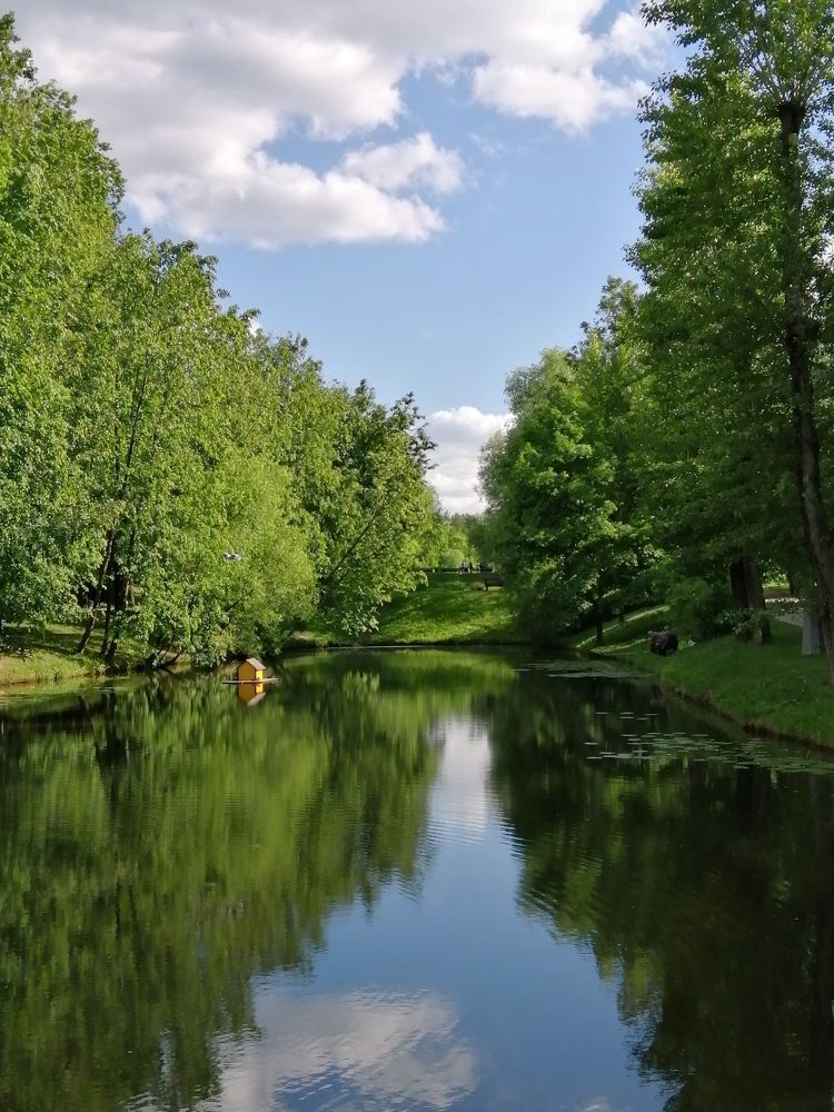Photograph by Светлана Веселовская