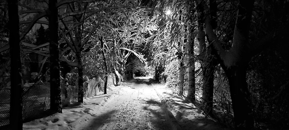 Photograph by Кристина Вингре