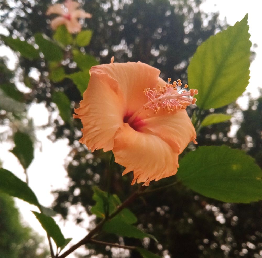 Photograph by Adrija Kundu